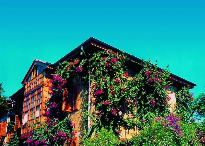 Begonville Pansiyon
