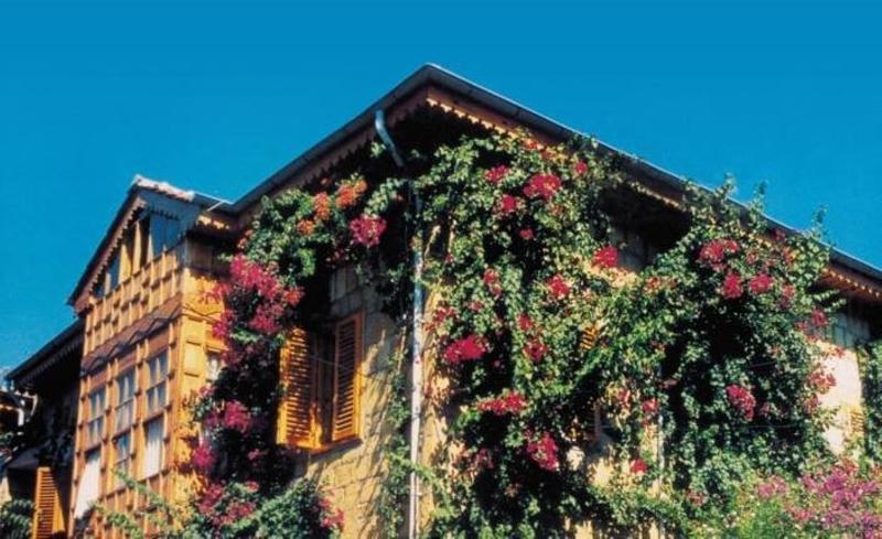 Begonville Guest house